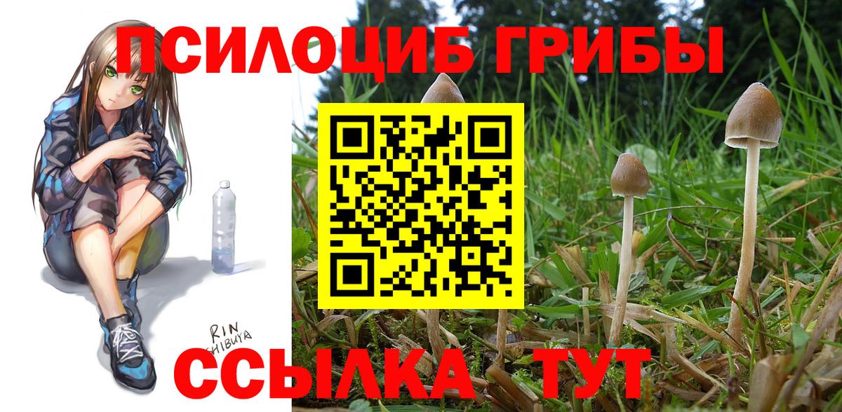 Галлюциногенные грибы Psilocybine cubensis  Вход с VPN  Светлоград 